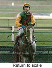 Return to scale (15067 bytes)