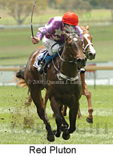 Red Pluton (18507 bytes)