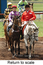 Return to scale (17769 bytes)