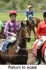 Return to scale (17769 bytes)