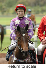 Return to scale (17769 bytes)