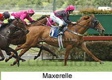 Maxerelle (18507 bytes)