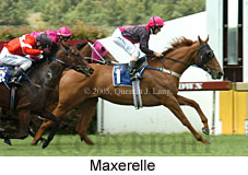 Maxerelle (18507 bytes)