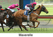 Maxerelle (18507 bytes)