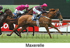 Maxerelle (18507 bytes)