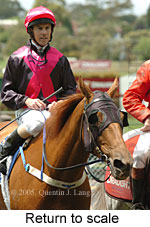 Return to scale (17769 bytes)