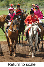 Return to scale (17769 bytes)