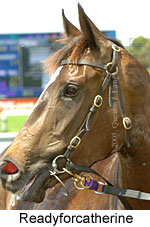 Readyforcatherine (18507 bytes)