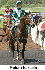 Return to scale (17769 bytes)