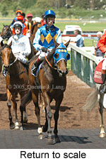 Return to scale (17769 bytes)