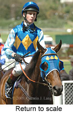 Return to scale (17769 bytes)