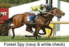 Forest Spy (18507 bytes)