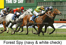 Forest Spy (18507 bytes)