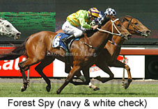 Forest Spy (18507 bytes)