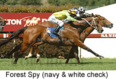 Forest Spy (18507 bytes)