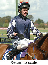 Return to scale (17769 bytes)