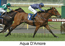 Aqua D'Amore (18507 bytes)