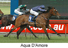 Aqua D'Amore (18507 bytes)