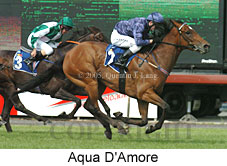 Aqua D'Amore (18507 bytes)