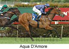 Aqua D'Amore (18507 bytes)