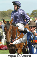 Aqua D'Amore (18507 bytes)