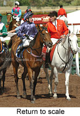 Return to scale (17769 bytes)