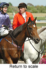 Return to scale (17769 bytes)