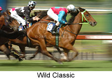 Wild Classic movement (18507 bytes)