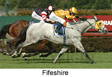 Fifeshire (18507 bytes)