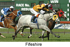 Fifeshire (18507 bytes)