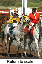 Return to scale (17769 bytes)