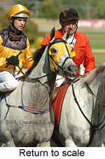 Return to scale (17769 bytes)