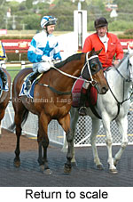 Return to scale (17769 bytes)