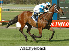 Watchyerback (18507 bytes)