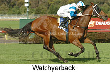 Watchyerback (18507 bytes)