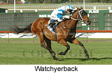 Watchyerback (18507 bytes)