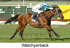 Watchyerback (18507 bytes)