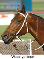 Watchyerback (18507 bytes)