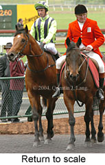 Return to scale (17769 bytes)