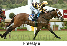 Freestyle (18507 bytes)