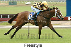 Freestyle (18507 bytes)