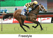 Freestyle (18507 bytes)