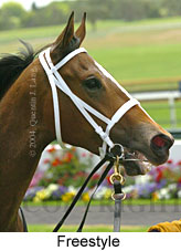 Freestyle (18507 bytes)