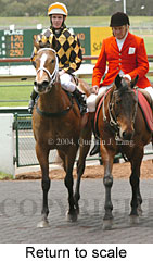 Return to scale (17769 bytes)