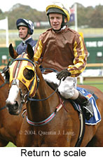 Return to scale (17769 bytes)