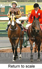 Return to scale (17769 bytes)