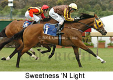 Sweetness 'N Light (18507 bytes)