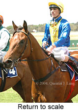 Return to scale (17769 bytes)