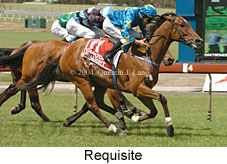 Requisite (18507 bytes)