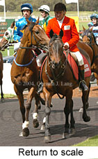 Return to scale (17769 bytes)